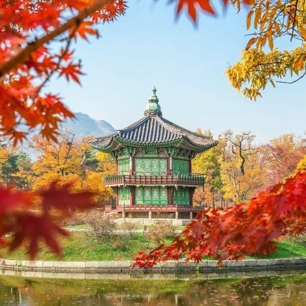 Ngắm lá mùa thu tại Cung điện Hoàng gia Seoul