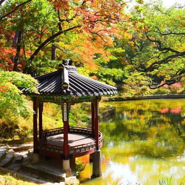 Ngắm lá mùa thu tại Khu vườn Bí mật Seoul