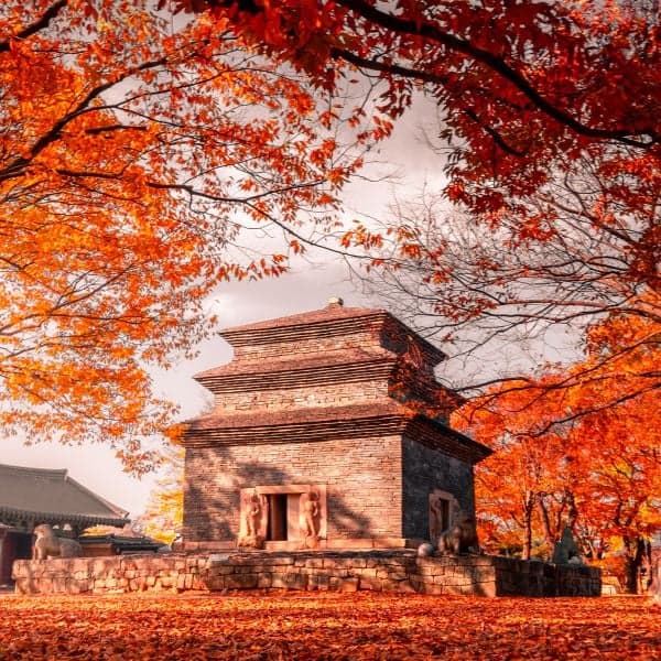 Lá mùa thu tại Chùa Bunhwangsa, Gyeongju