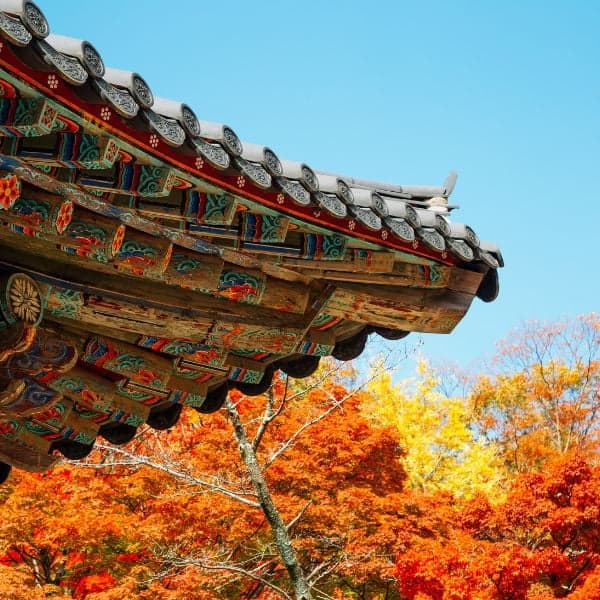 Lá mùa thu tại chùa Bulguksa, Gyeongju