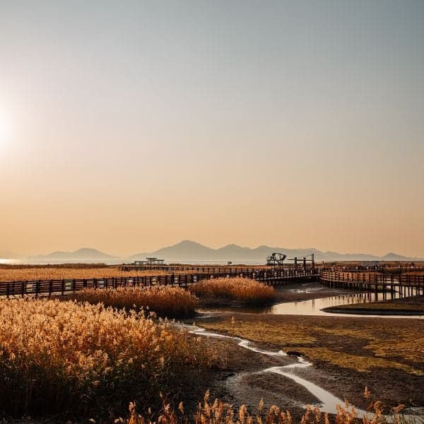 Hoàng hôn Dadaepo Busan vào mùa thu