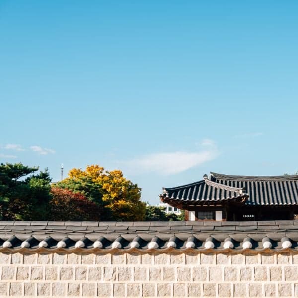 Lá mùa thu ở Làng Hanok Jeonju