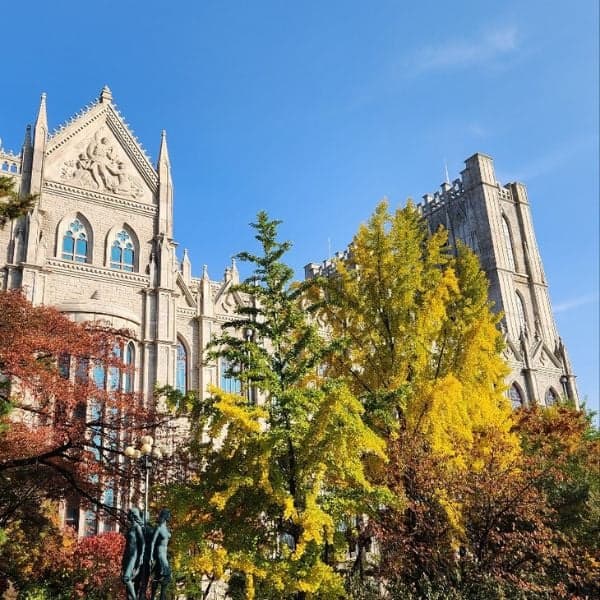 Đại học Kyung Hee với Lá mùa thu Seoul