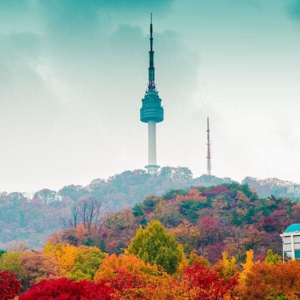 Tháp N Seoul với lá mùa thu Seoul