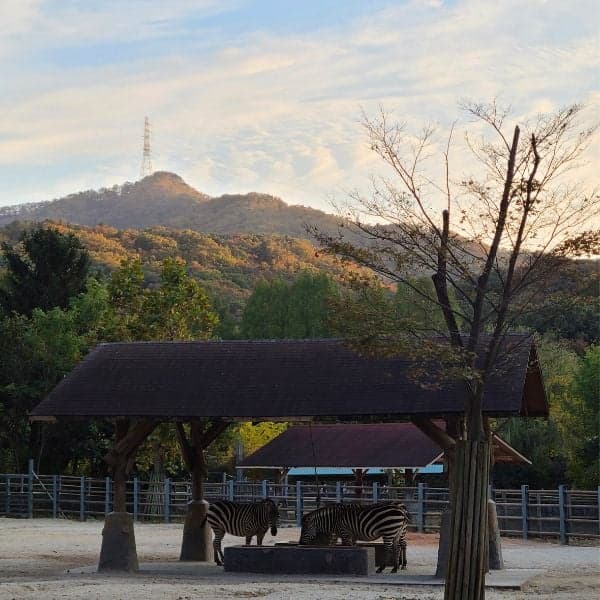 Công viên Seoul Grand vào mùa thu