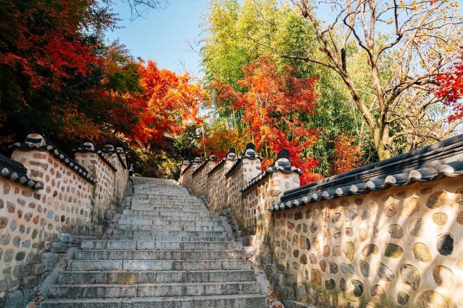 Ngắm lá mùa thu ở Busan, Hàn Quốc