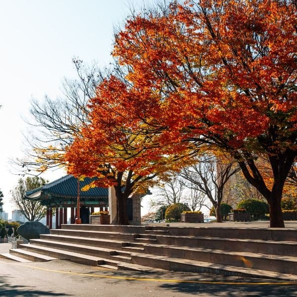 Công viên Yongdusan ở Busan