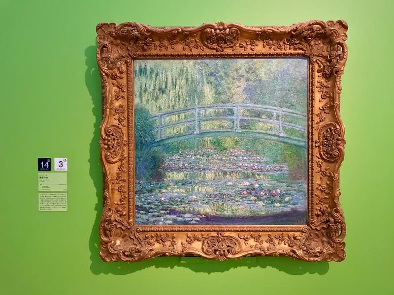 Một trong những bức tranh Hoa súng của Monet.