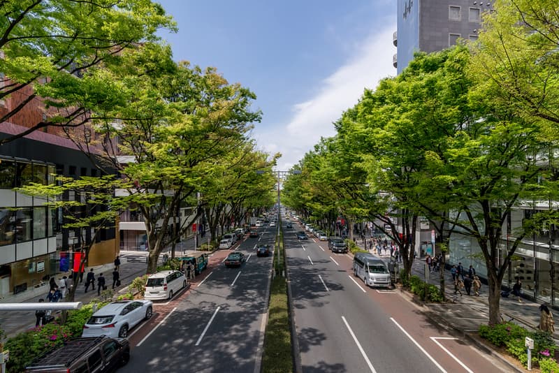 Omotesando
Street