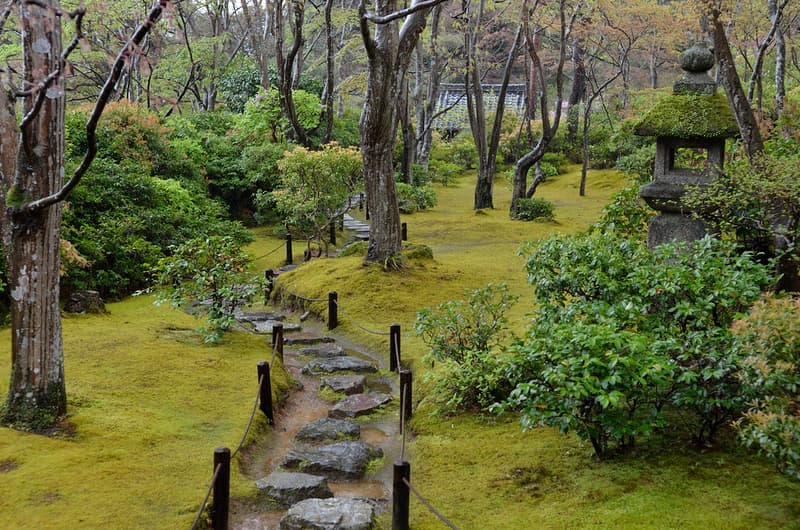 Con đường đá đầy chất thơ giữa rêu và cây cối tại Vườn Okochi Denjiro, Kyoto