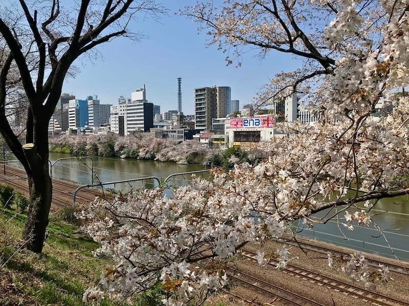 The view from Sotobori
Koen.