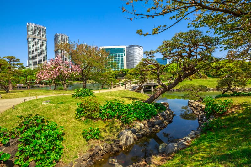 Hamarikyu
Gardens