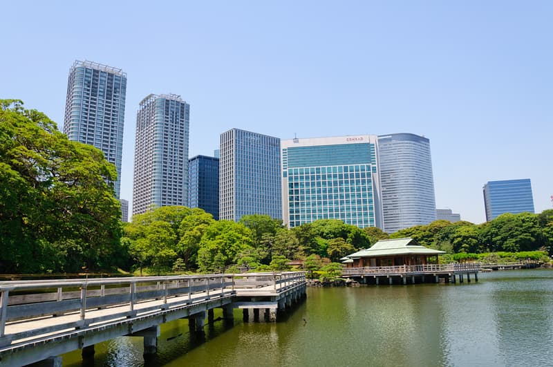 Lịch trình du lịch Tokyo trong 3 ngày