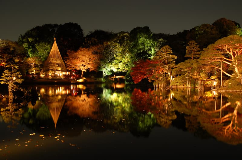 Lễ hội ánh sáng Momiji mùa thu tại Rikugien
Tokyo