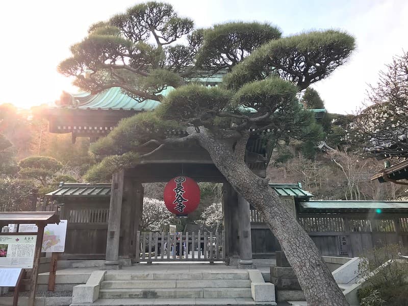 Đèn lồng trước Đền Hasedera.