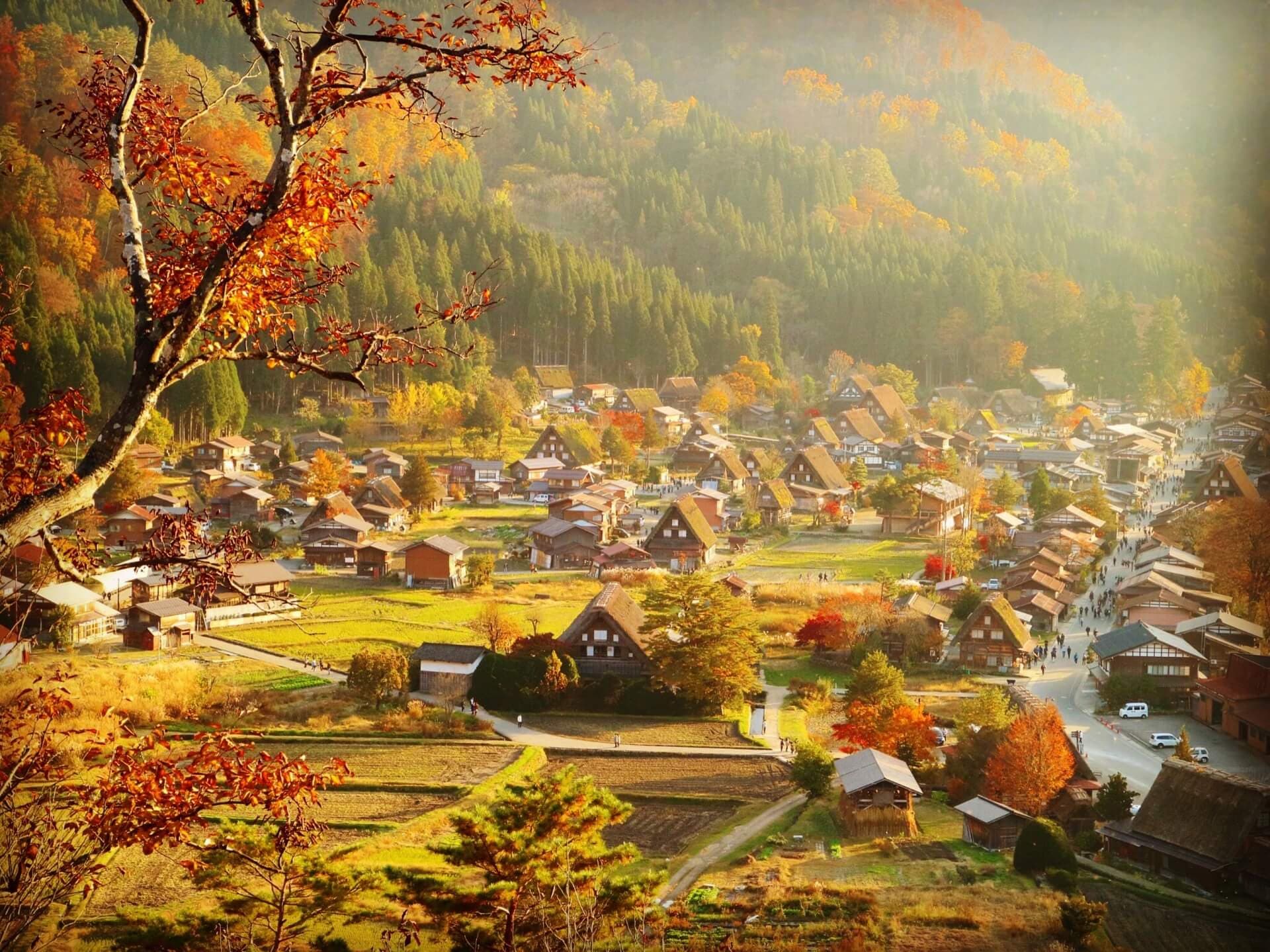 Du lịch Nhật Bản mùa thu - Shirakawa-go mùa
thu