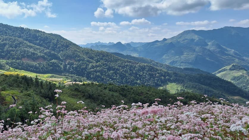 Cảnh đẹp trên đường đi Lũng Cú, Hà Giang Du lịch Hà Giang - Cảnh đẹp trên đường đi Lũng Cú, Hà Giang