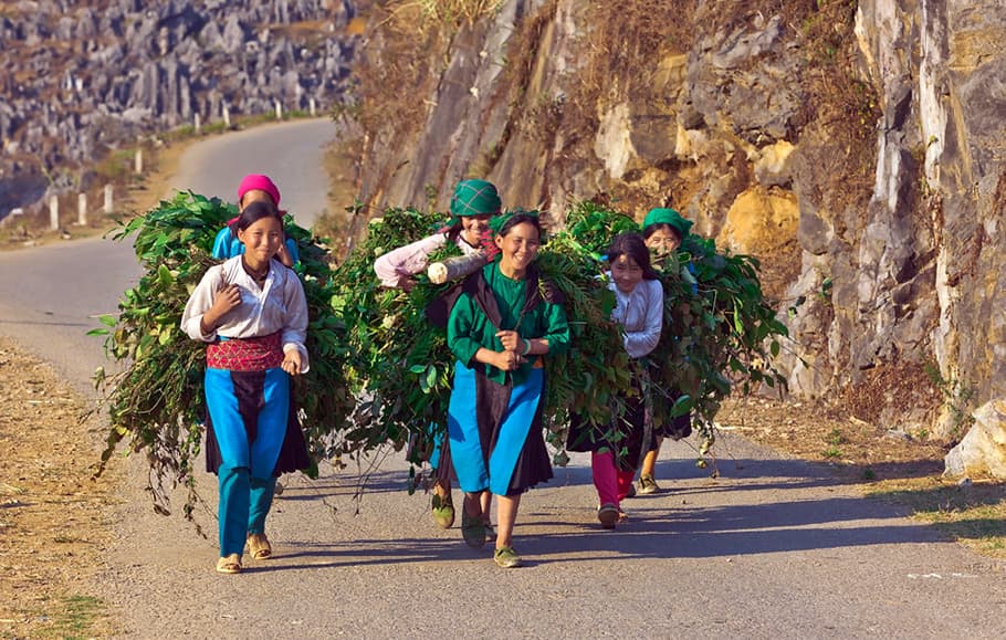 Những phụ nữ dân tộc thiểu số vác đồ trên đường ở Hà Giang Du lịch Hà Giang - Những phụ nữ dân tộc thiểu số vác đồ trên đường ở Hà Giang