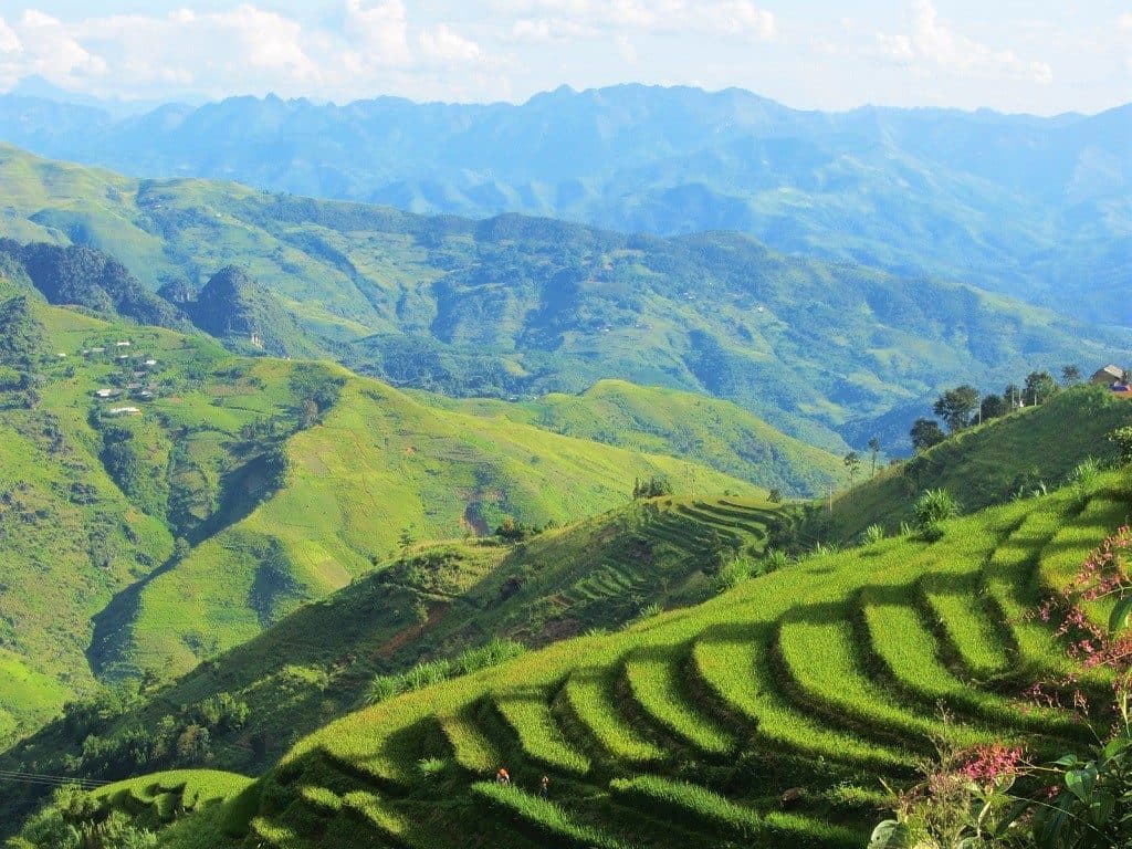 Ruộng bậc thang trên đường từ Mèo Vạc đến Bảo Lạc, Hà Giang Du lịch Hà Giang - Ruộng bậc thang trên đường từ Mèo Vạc đến Bảo Lạc, Hà Giang