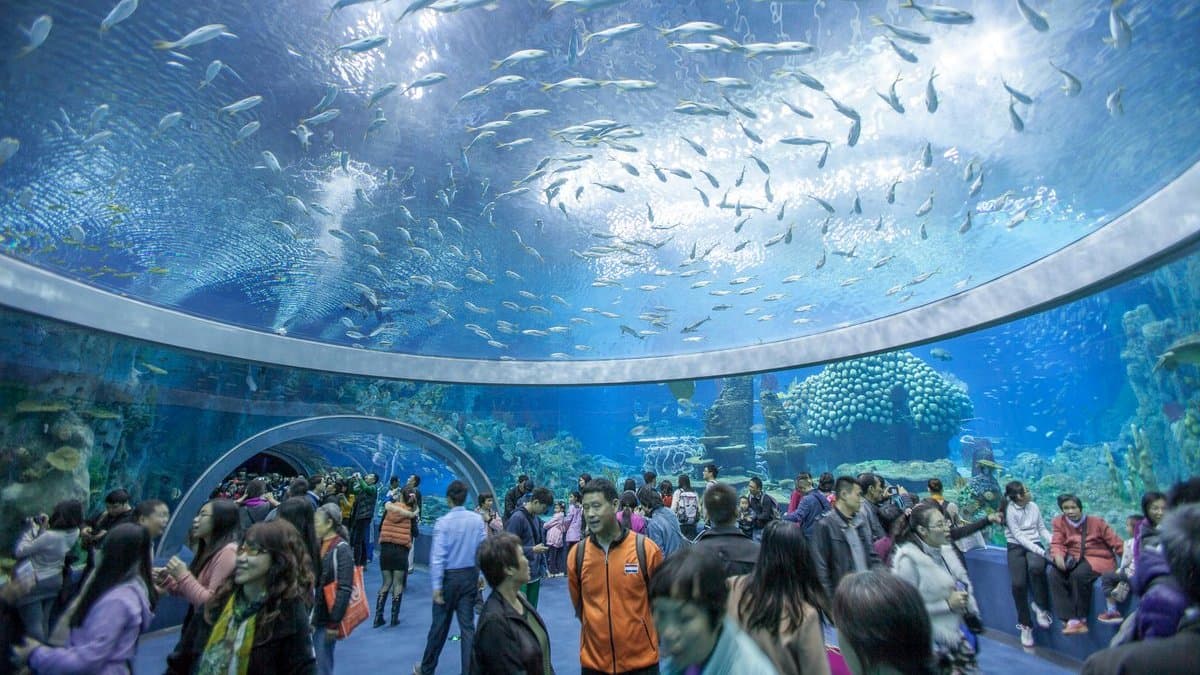 Viện Hải Dương Học - Nha Trang Du lịch Nha Trang - Viện Hải Dương Học