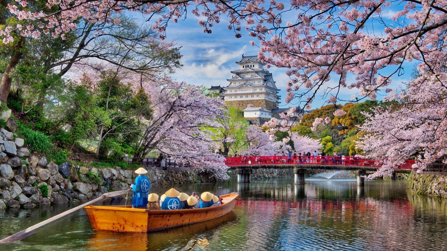 Đi thuyền ngắm hoa anh đào quanh Lâu đài Himeji (Hyogo) Du lịch Nhật Bản-Dự báo hoa đào nở-Đi thuyền ngắm hoa anh đào quanh Lâu đài Himeji (Hyogo)