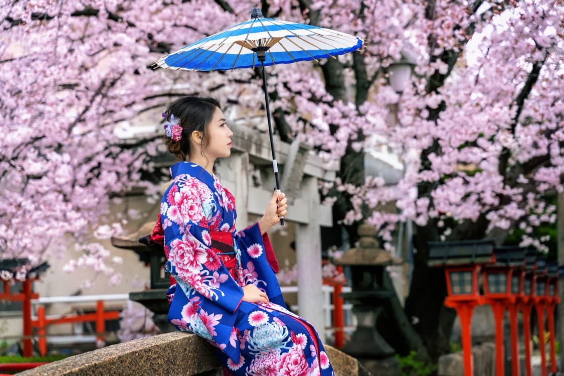 Mặc kimono và ngắm hoa anh đào Du lịch Nhật Bản-Dự báo hoa đào nở Mặc kimono và ngắm hoa anh đào