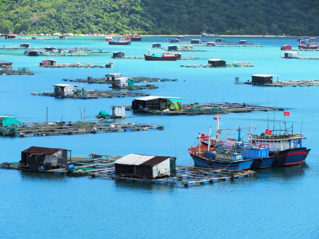Nhà hàng và trang trại nuôi cá nổi ở Vịnh Vũng Rô Vịnh Vũng Rô - Du lịch Phú Yên tự túc