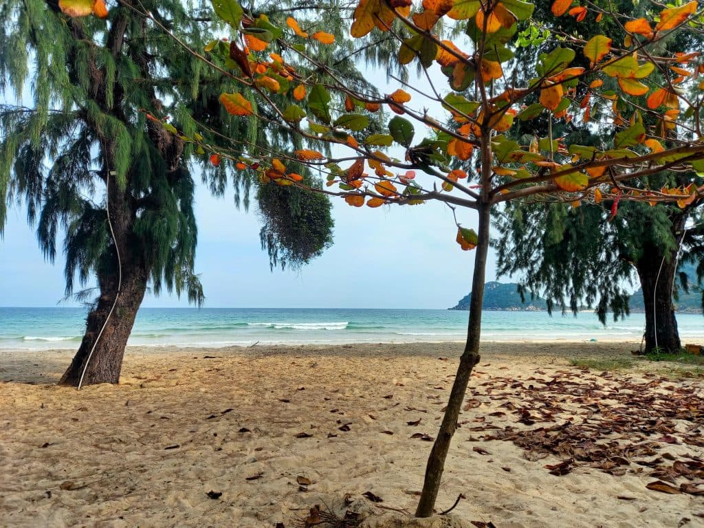 Bãi biển Đại Lãnh Du lịch Đại Lãnh