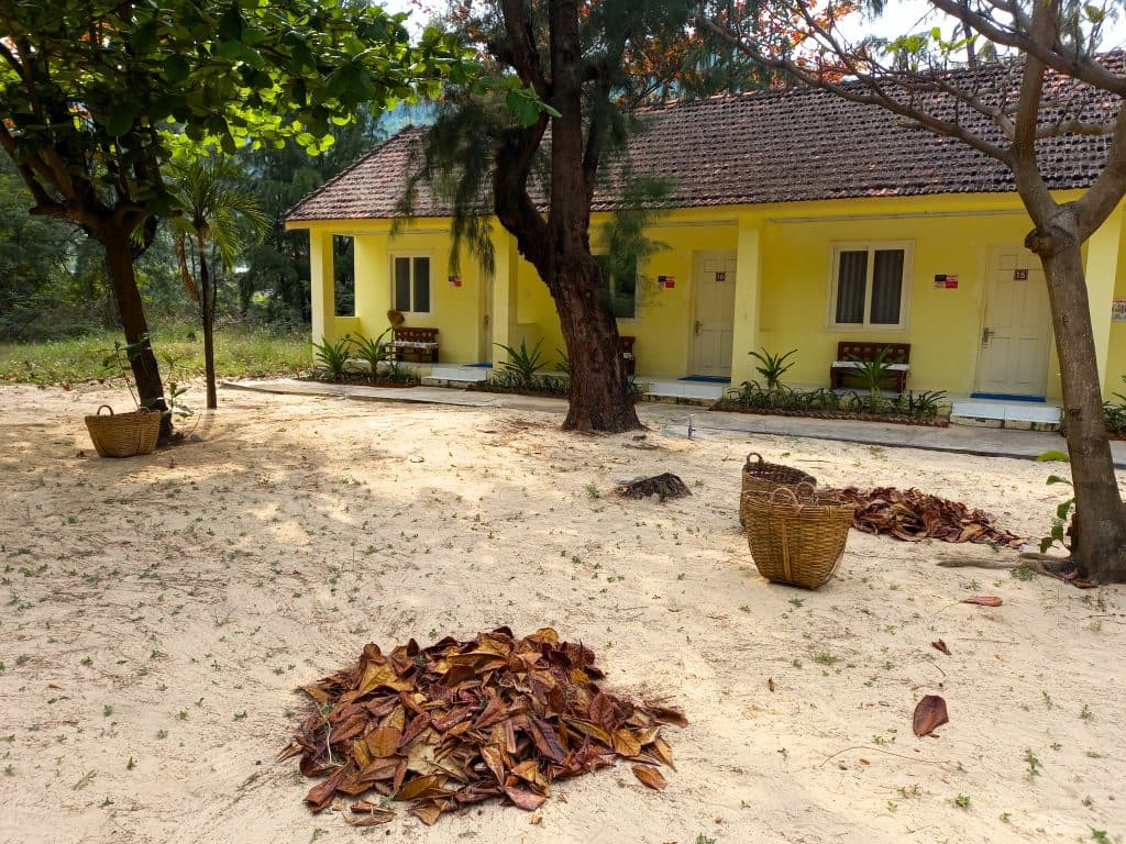 Bãi biển Đại Lãnh, Khánh Hòa Du lịch Đại Lãnh