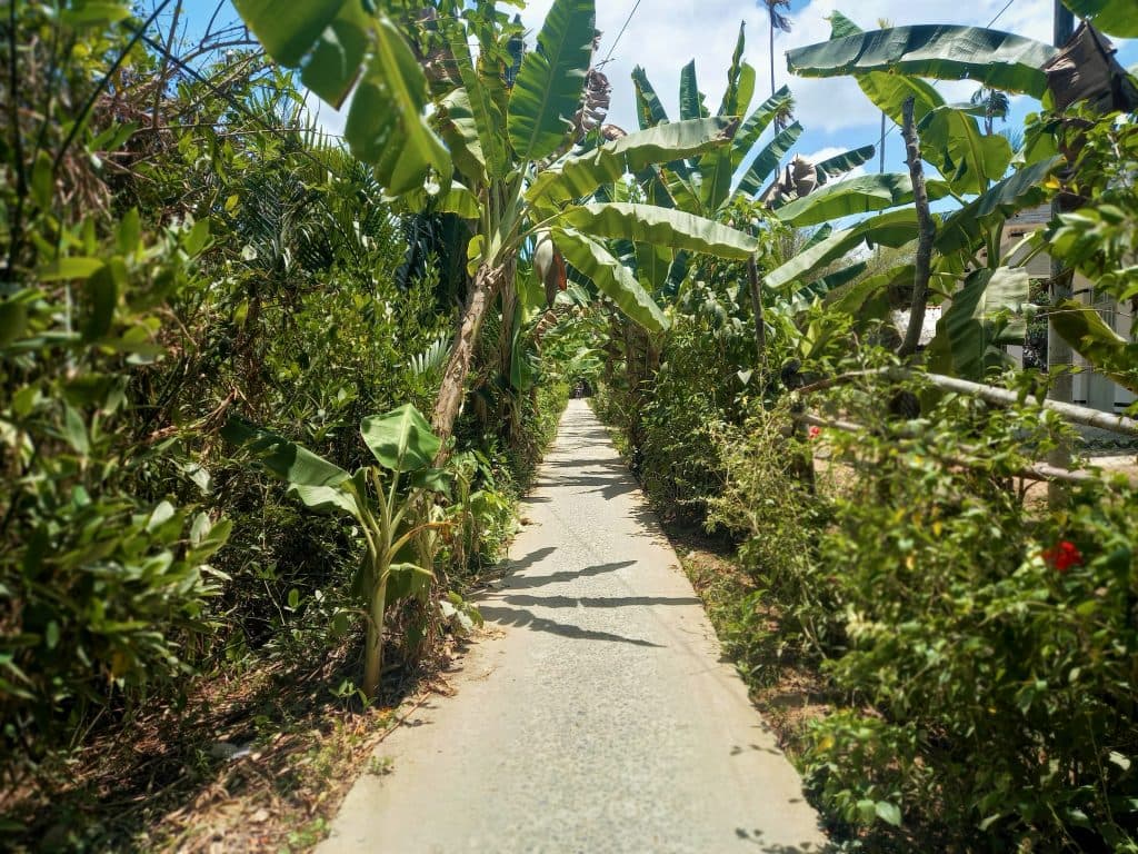 Du lịch Trà Vinh tự túc - khám phá chùa Khmer Du lịch Trà Vinh tự túc - khám phá chùa Khmer