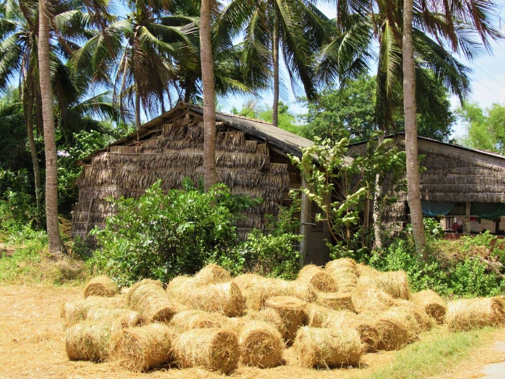 Nhà ở nông thôn Nhà ở nông thôn