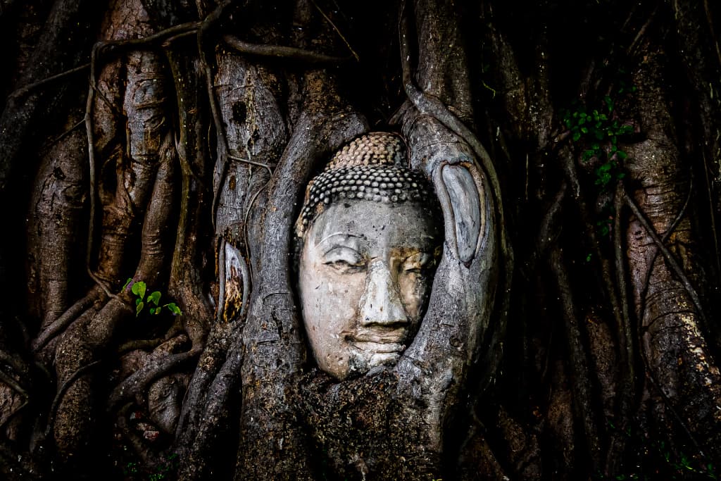 Du lịch Thái Lan tự túc - Buddha-head-at-Wat-Mahathat