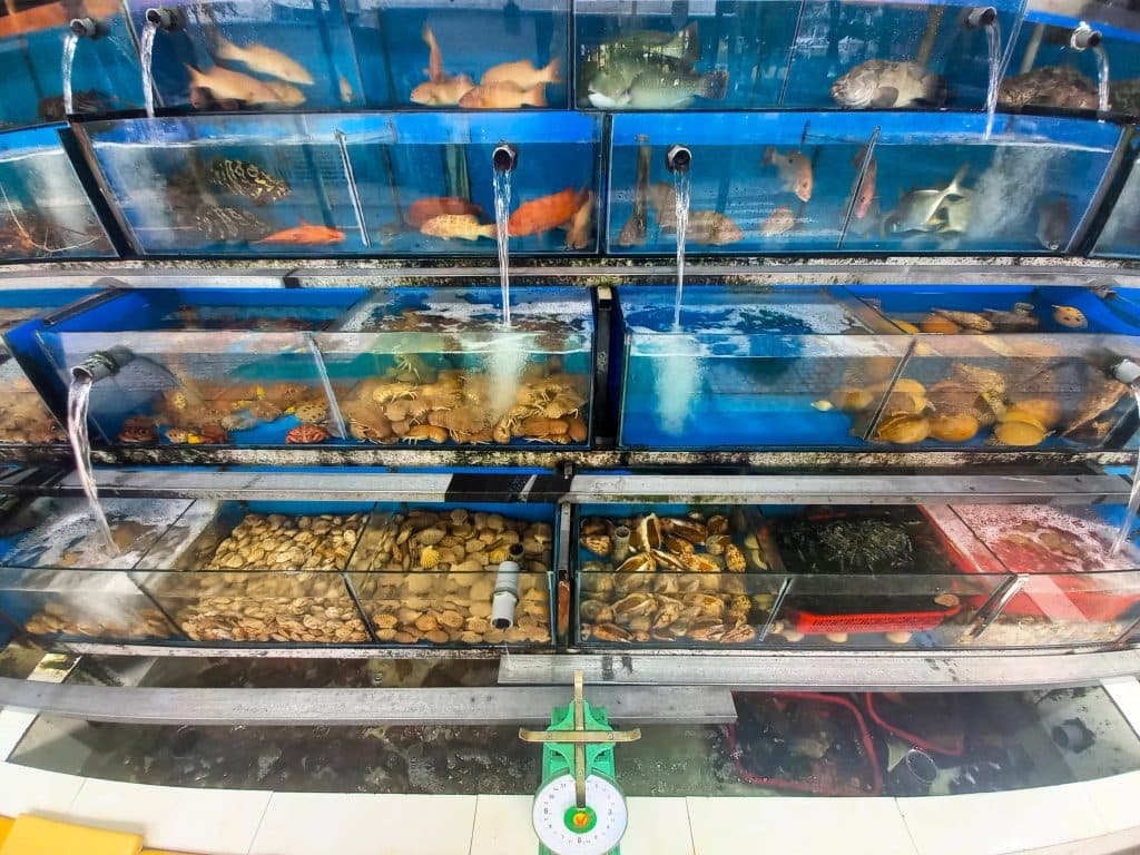 Lebende Meeresfrüchte, Con Dao, Vietnam