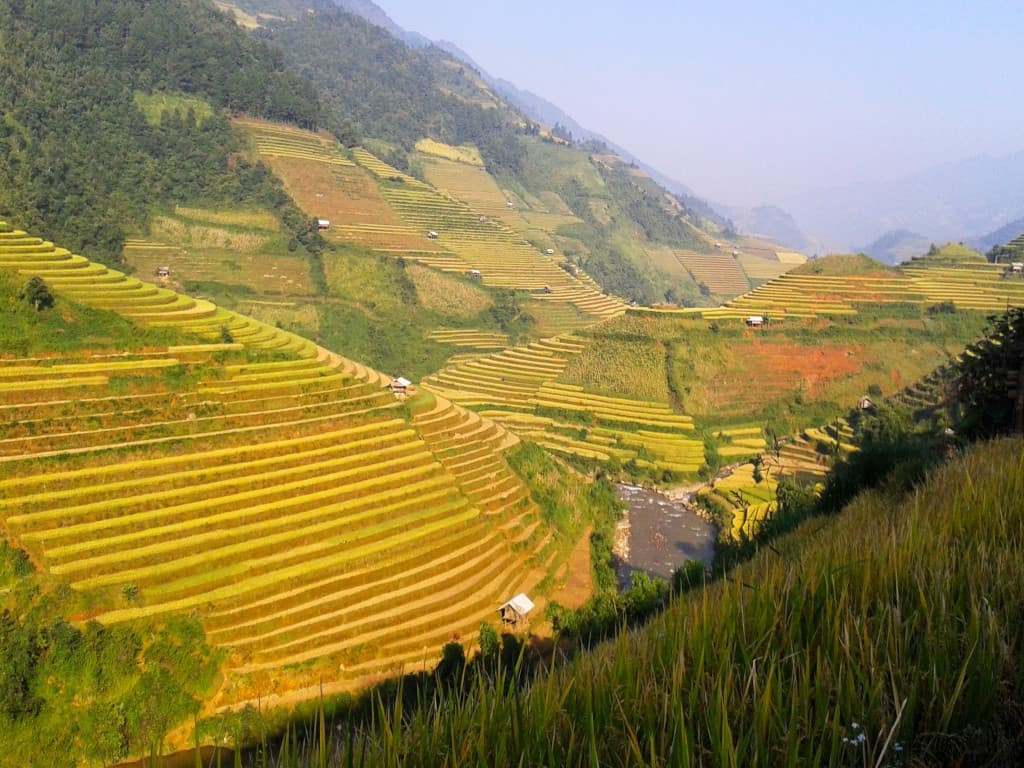 Rizières en terrasses au nord du Vietnam Rizières en terrasses au nord du Vietnam
