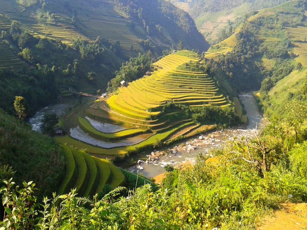 Rizières en terrasses au nord du Vietnam Rizières en terrasses au nord du Vietnam