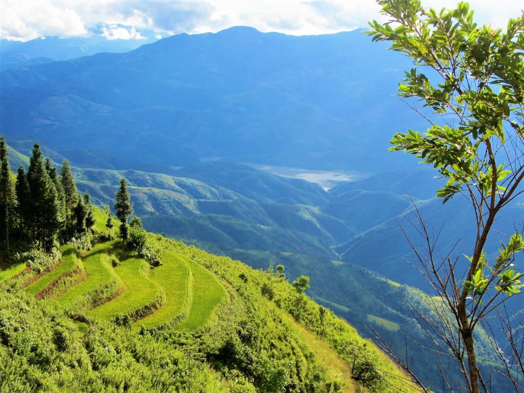 Rizières en terrasses au nord du Vietnam Rizières en terrasses au nord du Vietnam