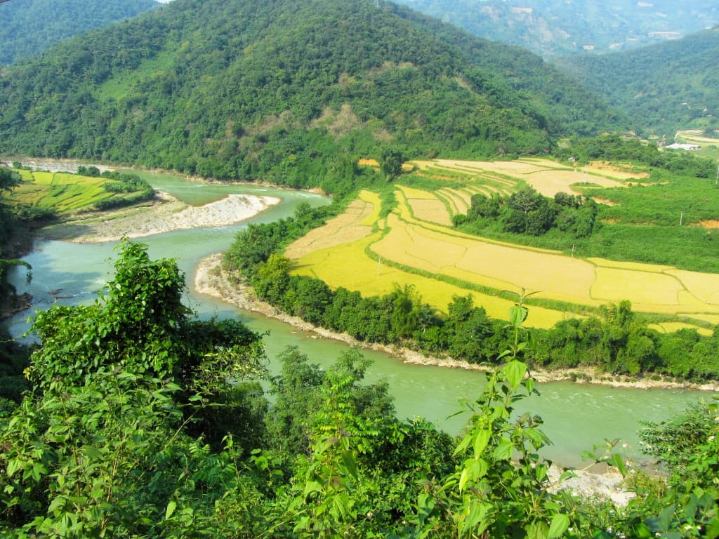 Rizières en terrasses au nord du Vietnam Rizières en terrasses au nord du Vietnam