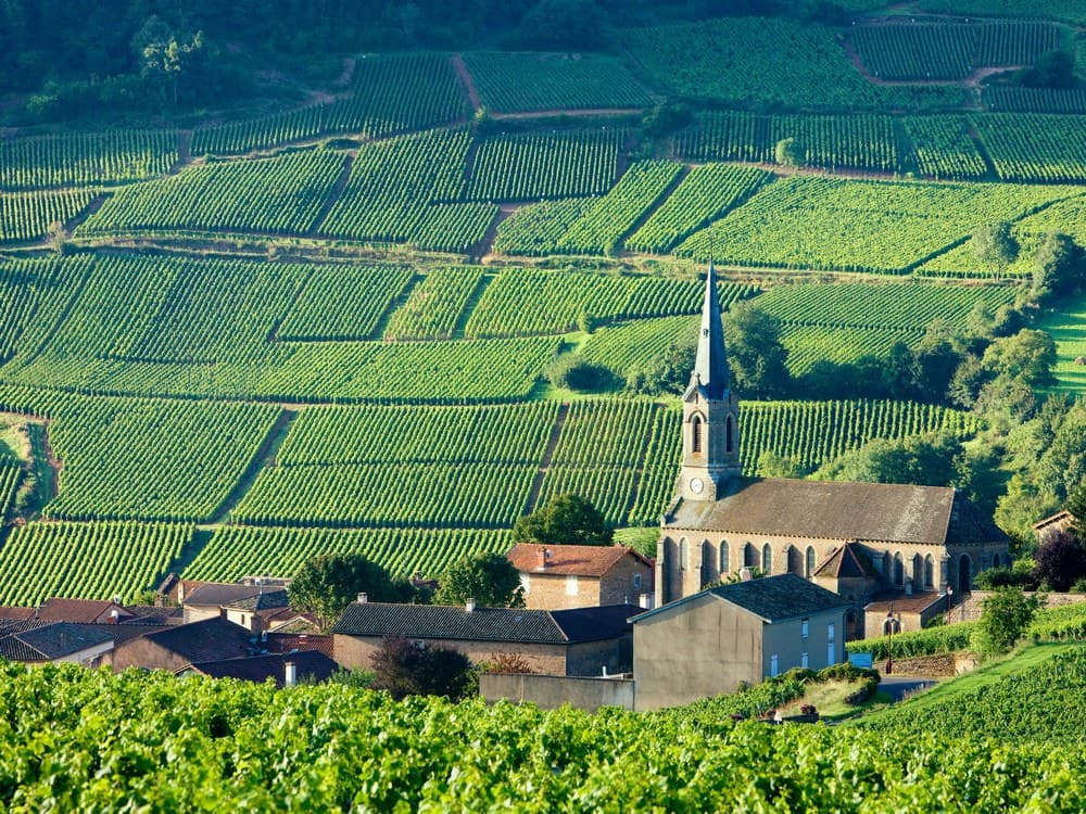 Du lịch Châu Âu tự túc trong 14 ngày