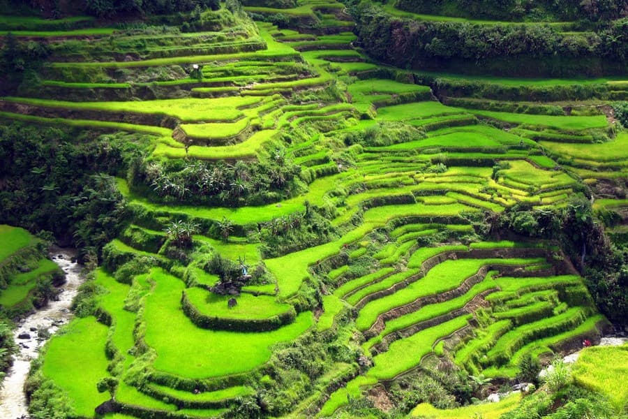 Hướng dẫn du lịch Philippines tự túc