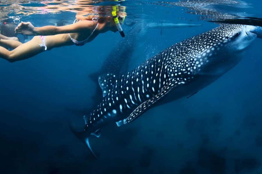 Hướng dẫn du lịch Philippines tự túc