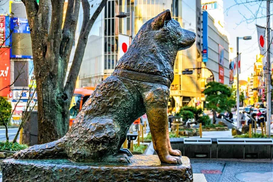 Tượng chú chó Hachiko