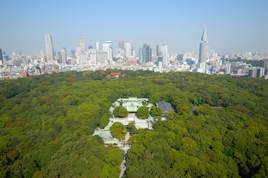 Meiji Jingu nhìn từ trên cao