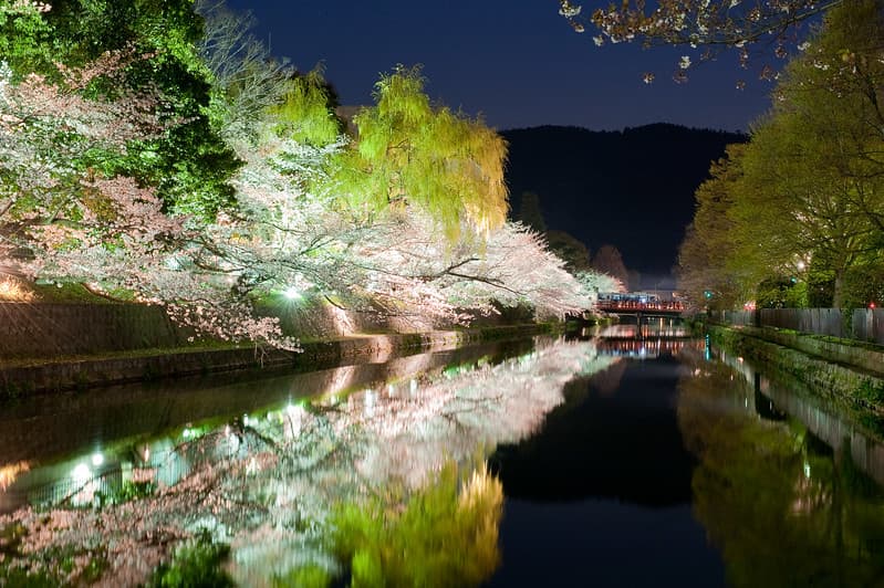 Khu vực Okazaki-koen của Kyoto với hoa anh đào được thắp sáng bên dòng sông Khu vực Okazaki-koen của Kyoto vào ban đêm với hoa anh đào được thắp sáng bên dòng sông