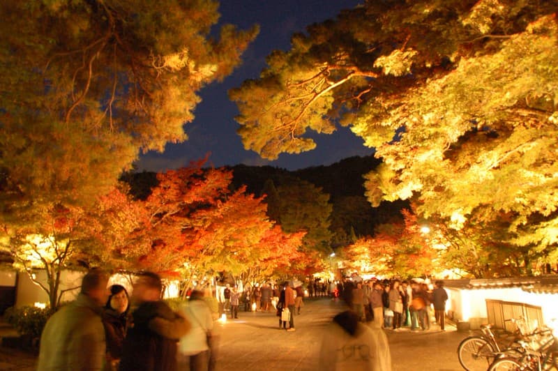 Lễ hội thắp sáng chùa Eikan-do Eikan-do TempleIllumination